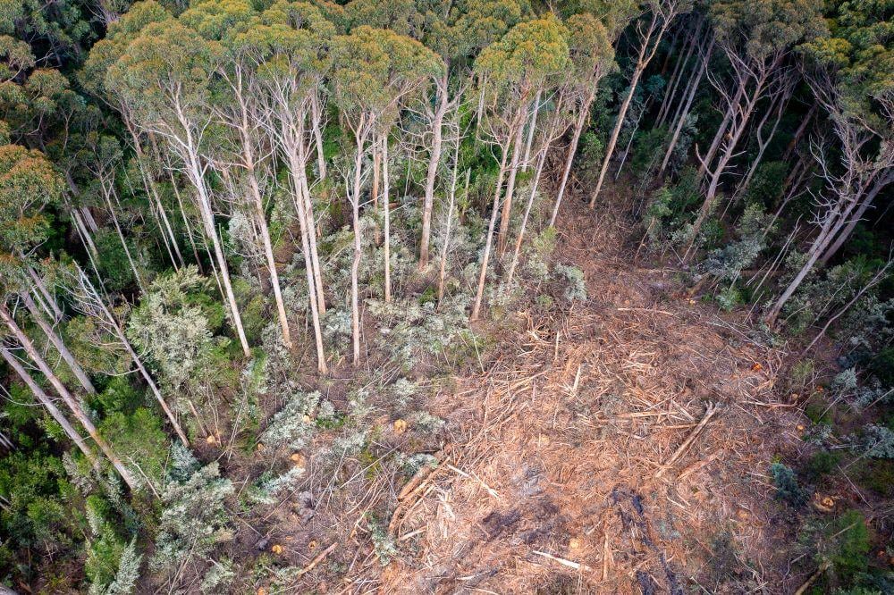 Scenes of devastation