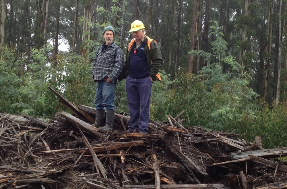 2015: Forest Industry Taskforce begins