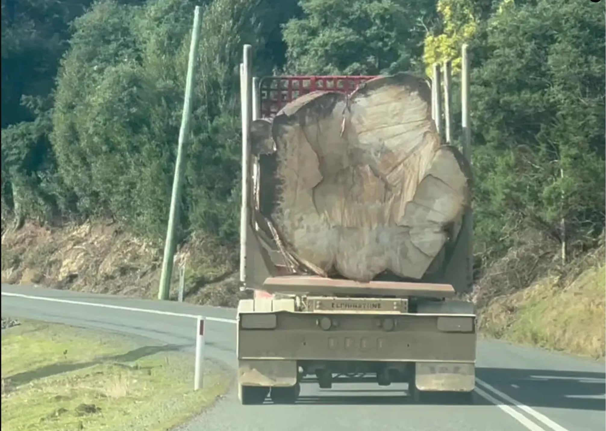 Nature under threat