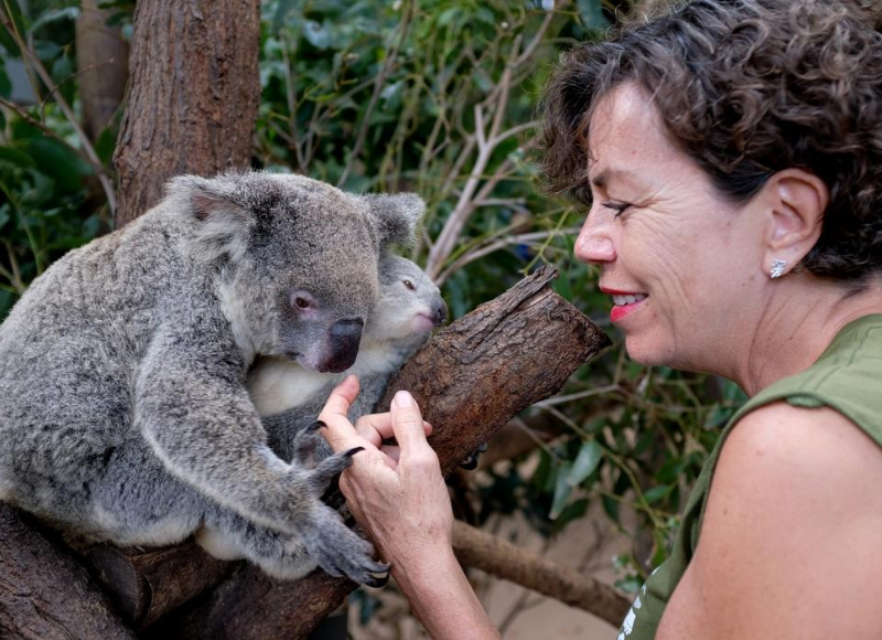 Koala Crusader has a message for Australians