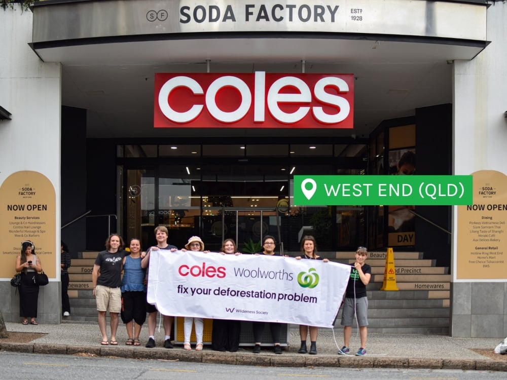 West End Coles: fix your deforestation problem