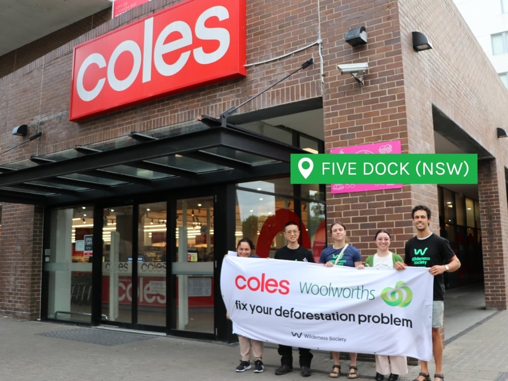 Five Dock Coles: fix your deforestation problem