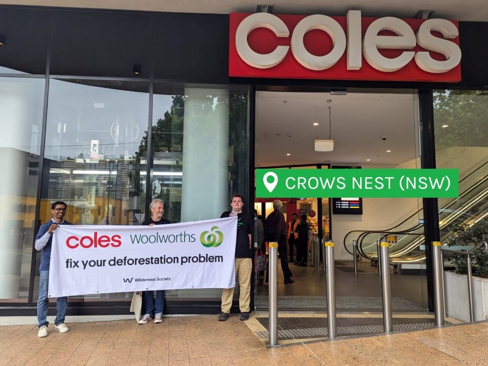Crows Nest Coles: fix your deforestation problem