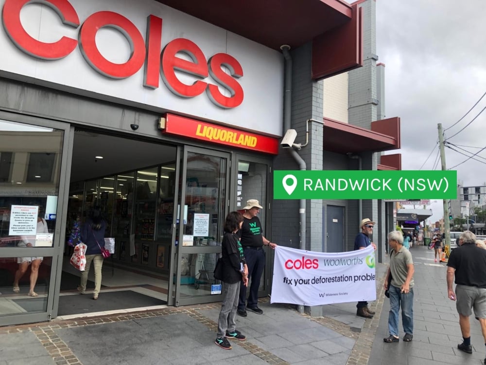 Randwick Coles: fix your deforestation problem
