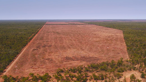 Watch NT savannah deforestation