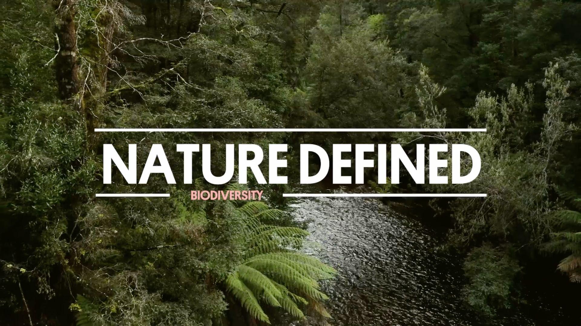 What is biodiversity? It refers to the variety of life on Earth or a particular place or ecosystem. And the role each species plays in the ecosystem.