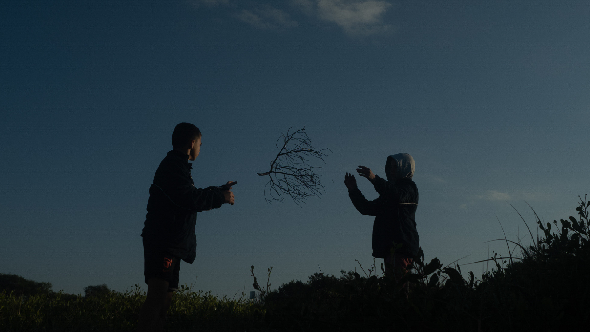 Wilderness Journal #013