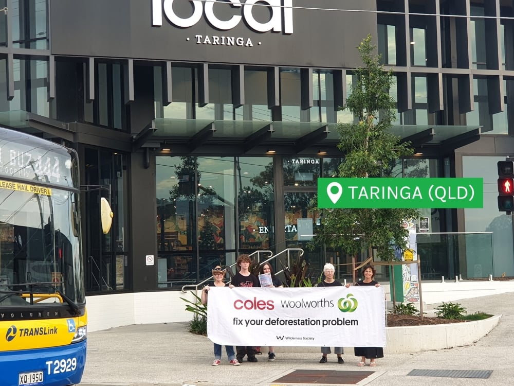 Taringa Coles: fix your deforestation problem