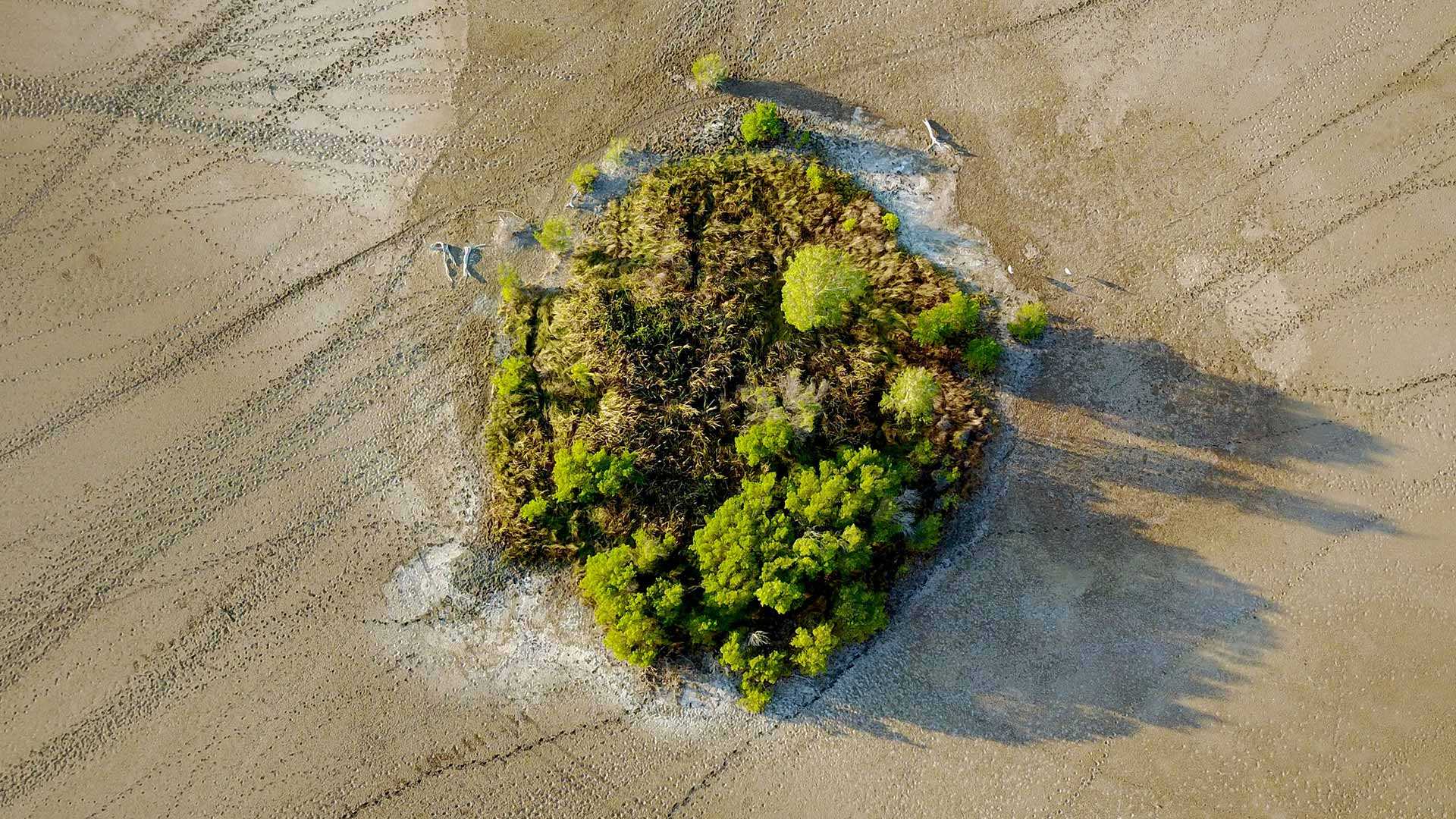 Mound Springs