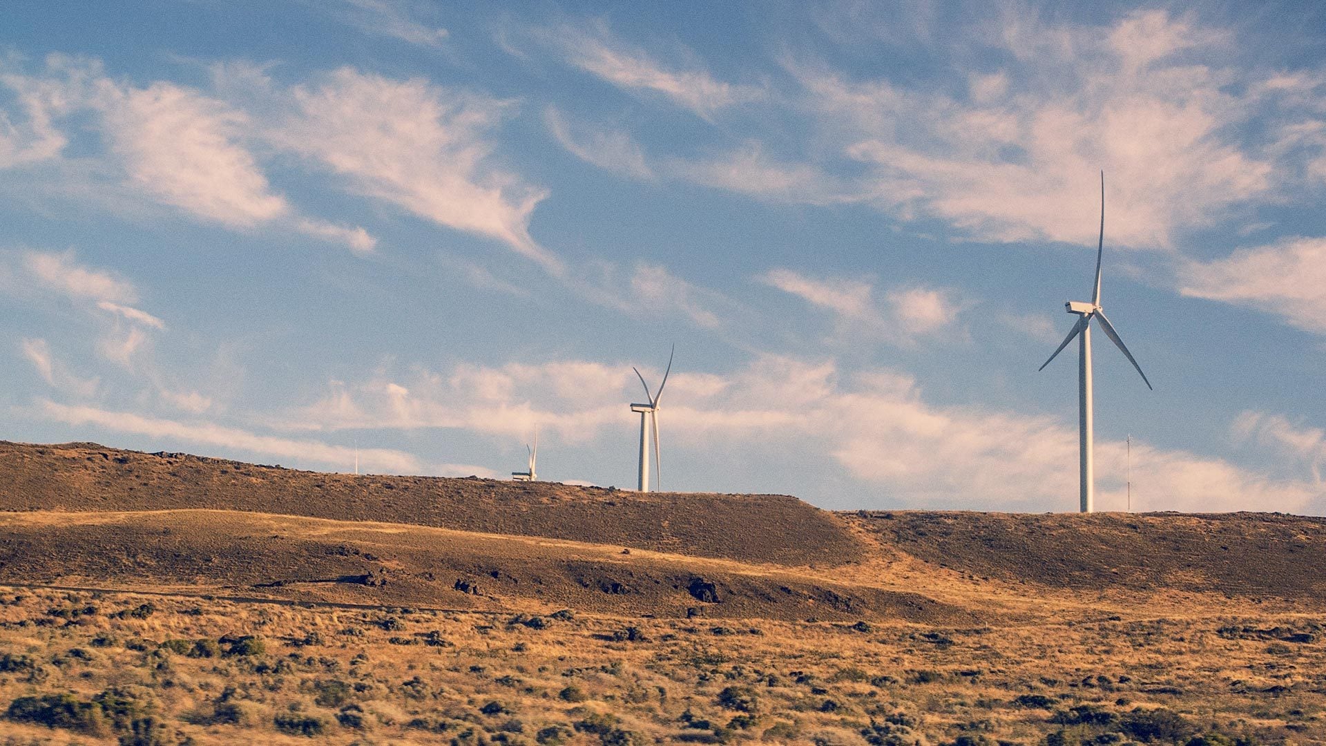 Renewables and the impacts on nature