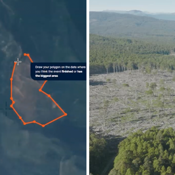 We're uncovering deforestation as it happens