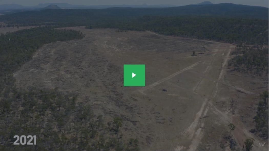 Deforestation through the years