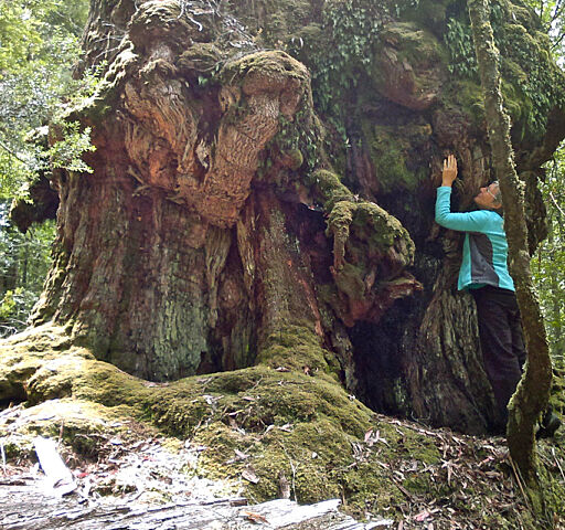 Marian has been a volunteer, supporter and committed activist for the Wilderness Society for 50 years. She is also a dedicated Forever Wild member.