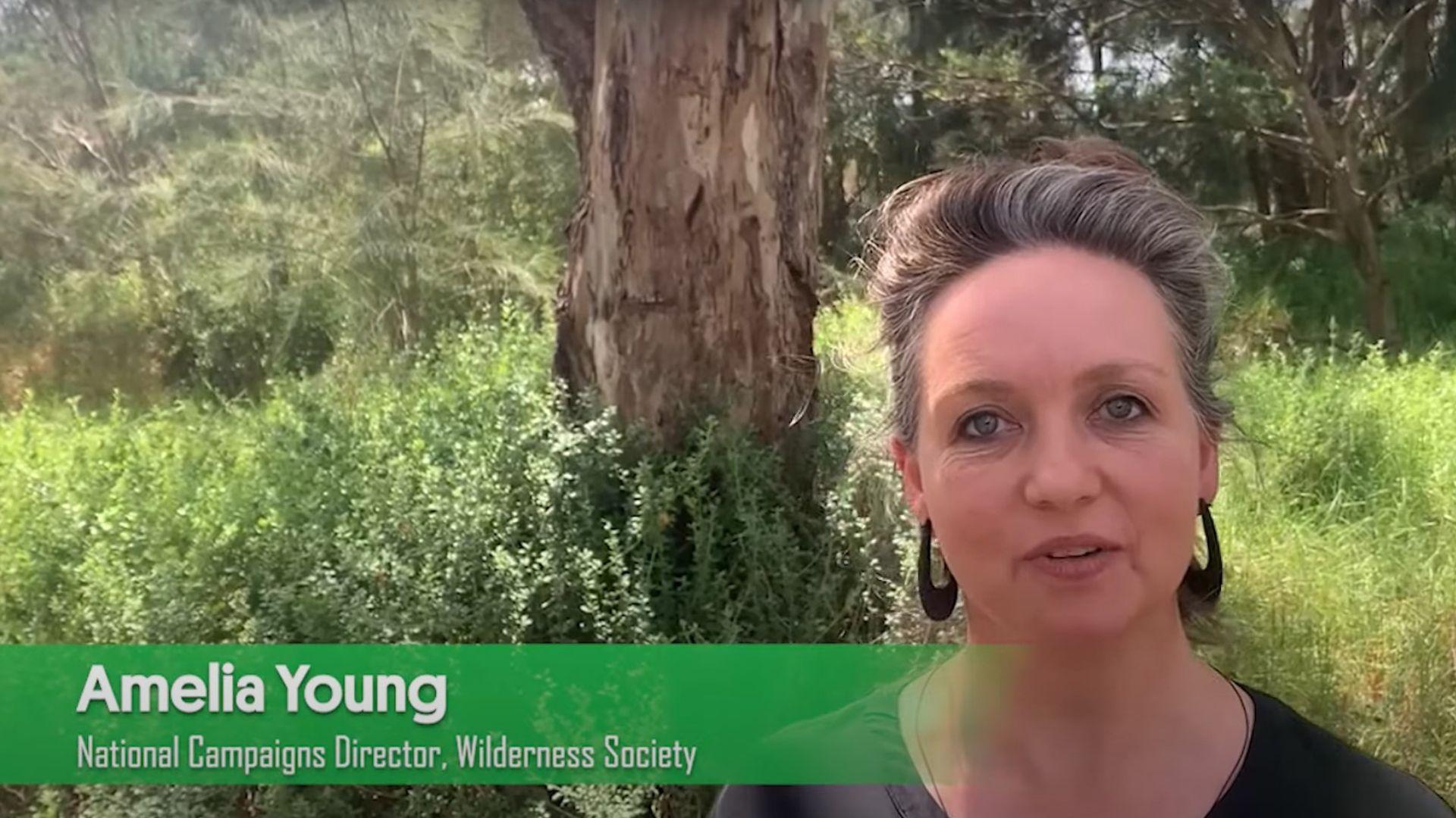National Campaigns Director Amelia Young explains why the pulping of Victoria’s native forests must cease with the end of Opal’s white paper operation