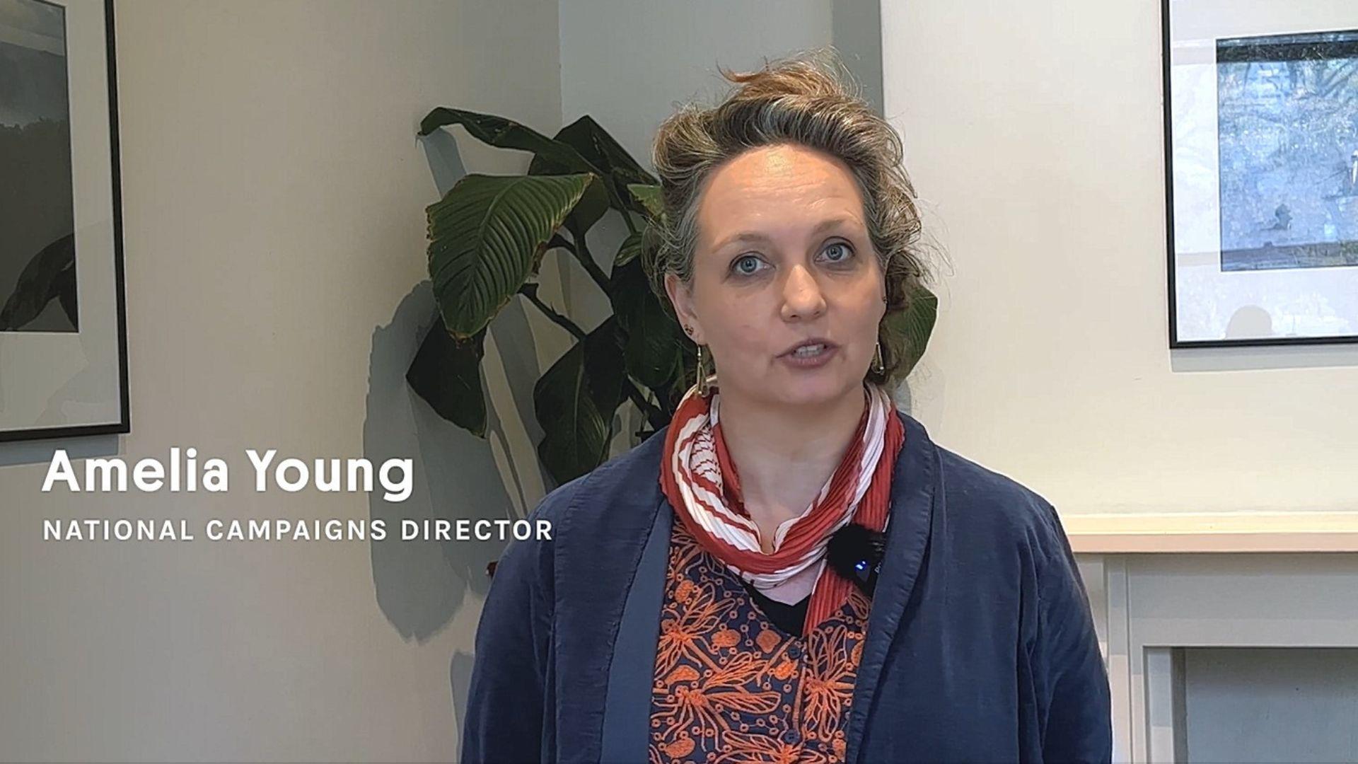 The Wilderness Society's National Campaigns Director Amelia Young on the news industrial clearfell native forest logging will end in Victoria in 2024