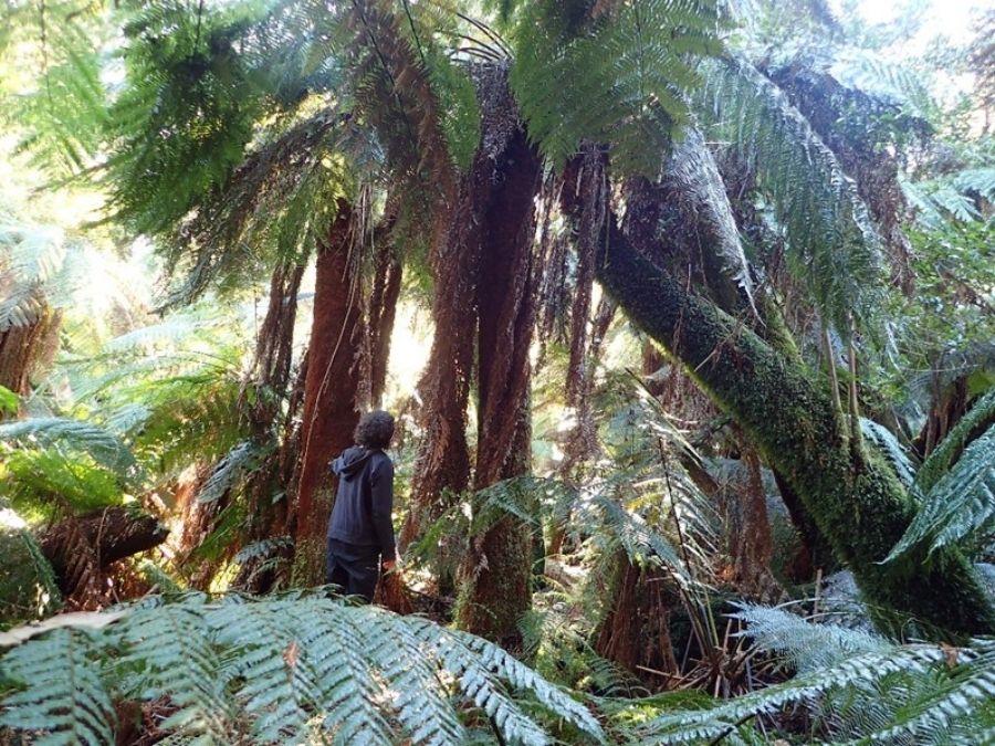 Connecting with giants