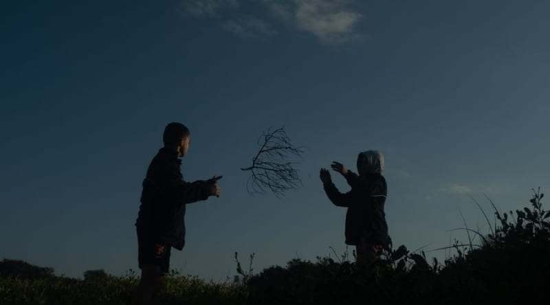 Wilderness Journal: Stories of nature & people