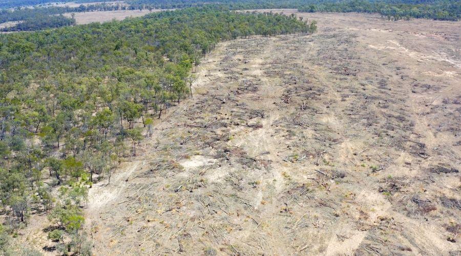 Nature laws that work