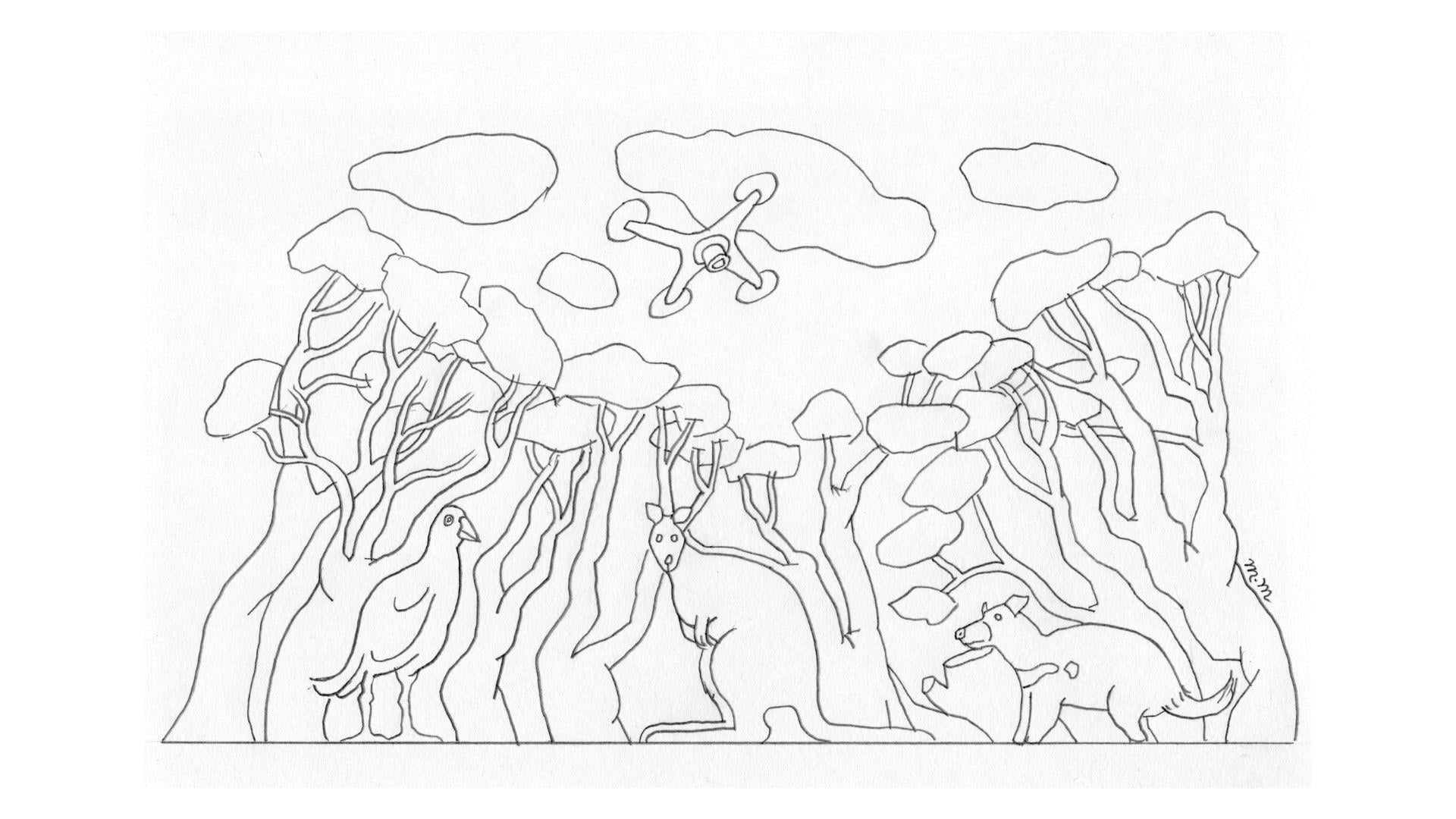 Wilderness Journal #011