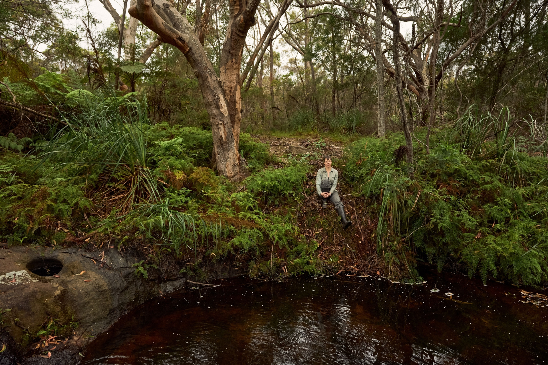 Wilderness Journal #029