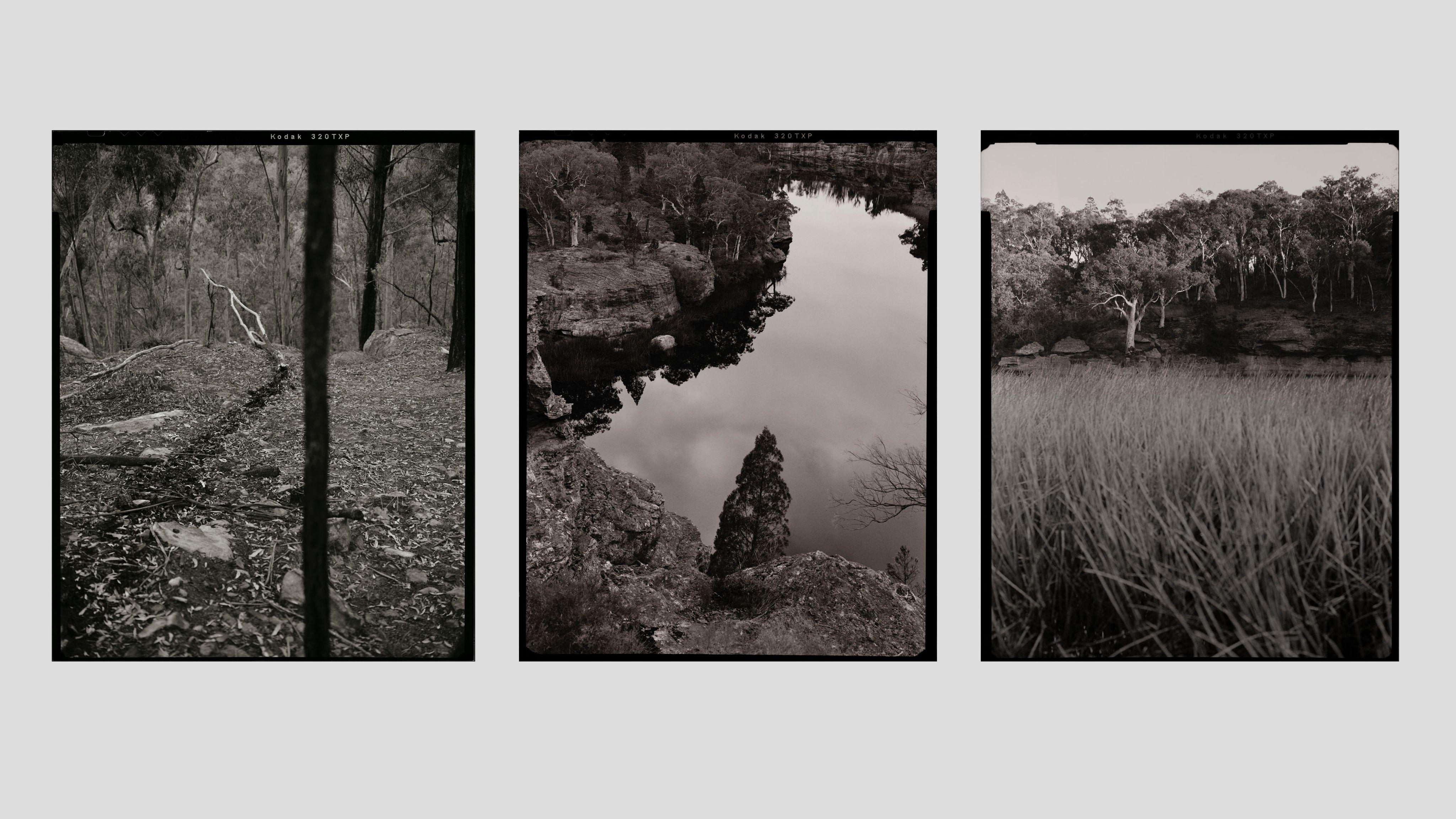 Wilderness Journal #014