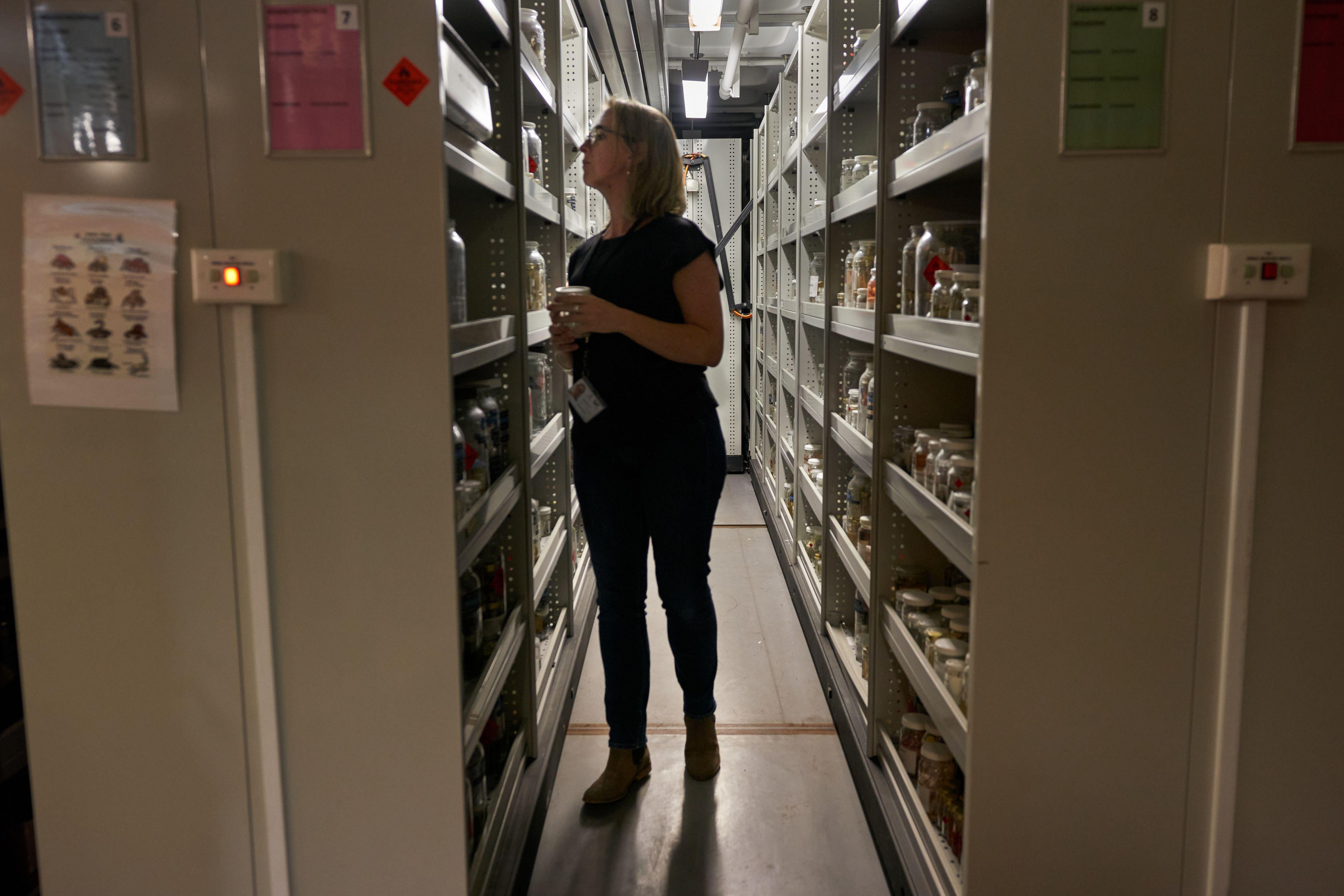 “Time spent with Dr Marsh in the museum was a powerful reminder that our survival is deeply connected to the survival of a tiny spider in the last remaining wilds of Kangaroo Island.” Ben Baker