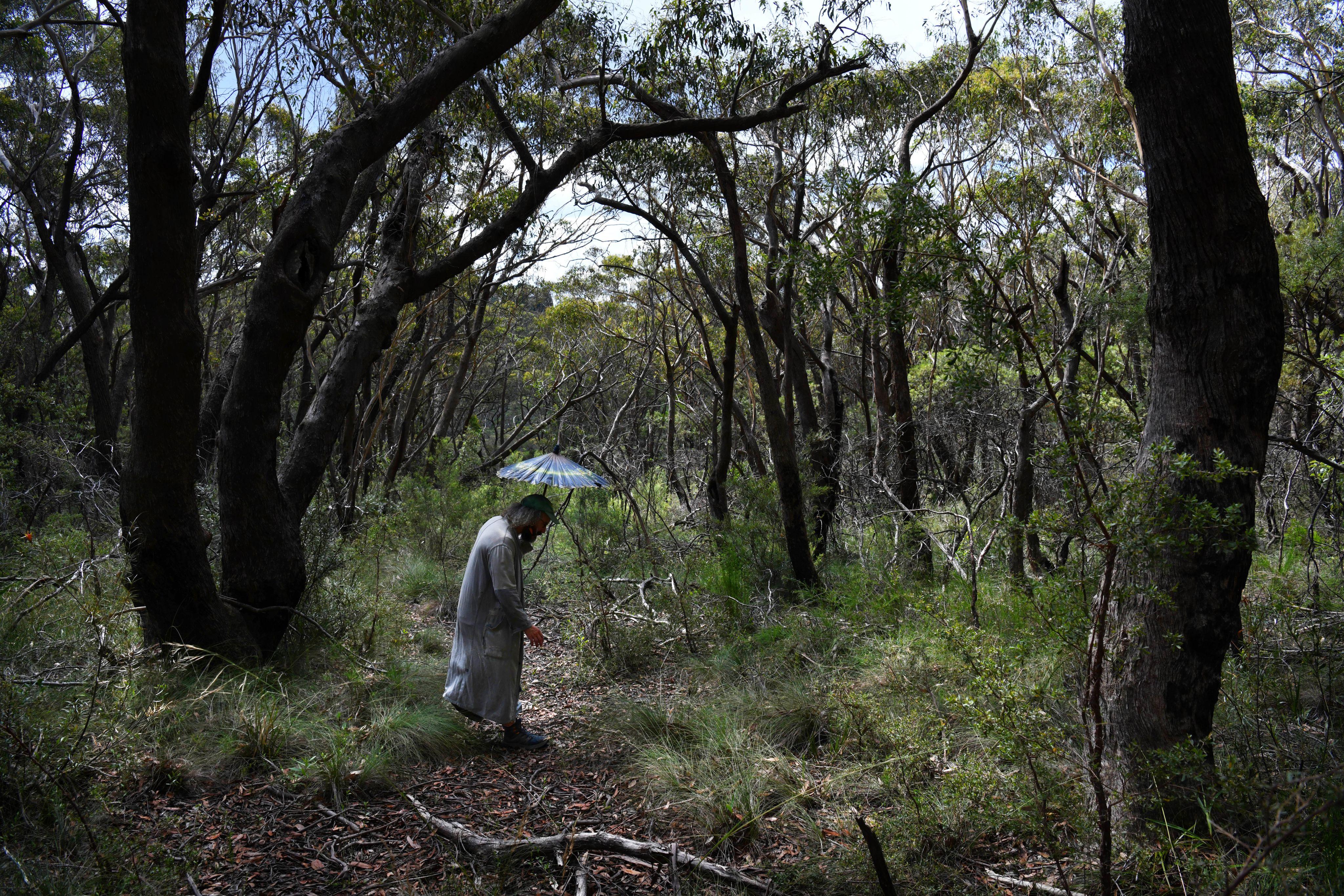 Wilderness Journal #023